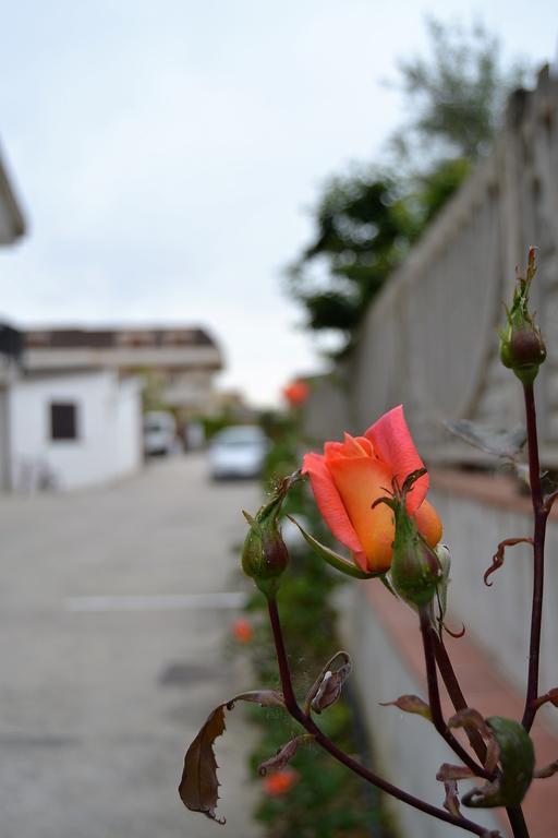 Il Girasole Formia Guesthouse Rooms Exterior photo